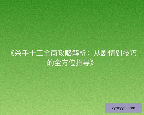 《杀手十三全面攻略解析：从剧情到技巧的全方位指导》