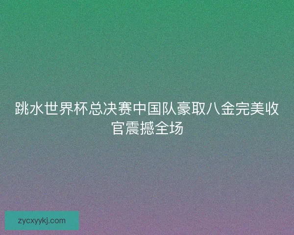 跳水世界杯总决赛中国队豪取八金完美收官震撼全场