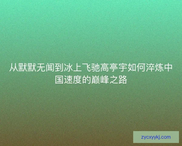 从默默无闻到冰上飞驰高亭宇如何淬炼中国速度的巅峰之路
