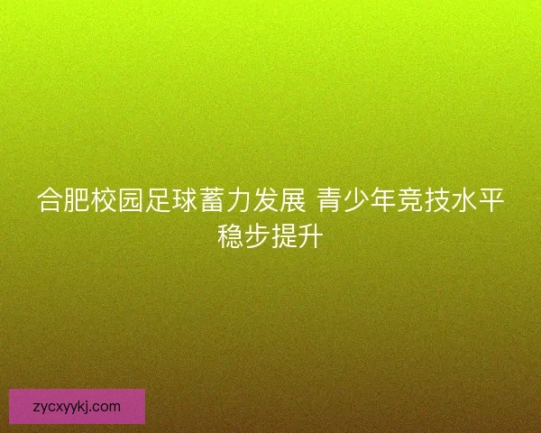合肥校园足球蓄力发展 青少年竞技水平稳步提升